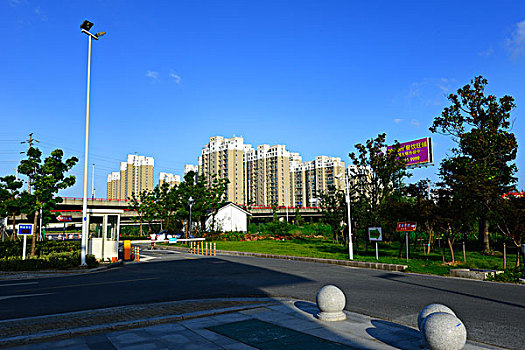 soi cau lô