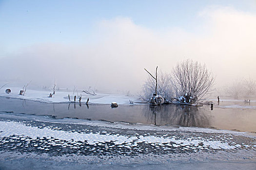 lo bach thu khung 3