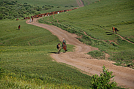 xổ số