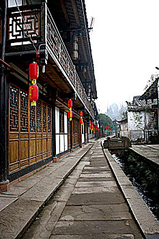 rong bach kim