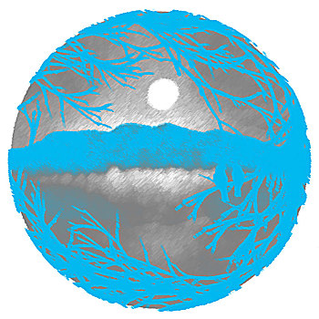 forum webxoso net