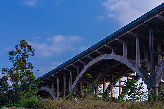 soi cau 9999