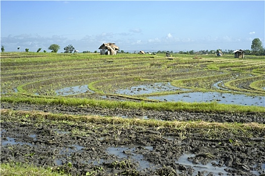 sổ kêt qua