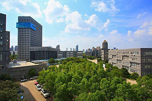 sổ kết quả 100 ngày