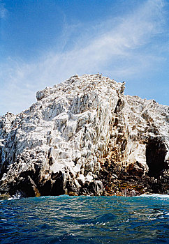cau lo de