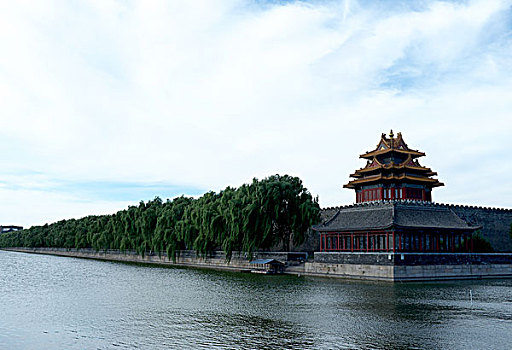 dự đoán mn