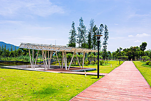 soi cau 3g