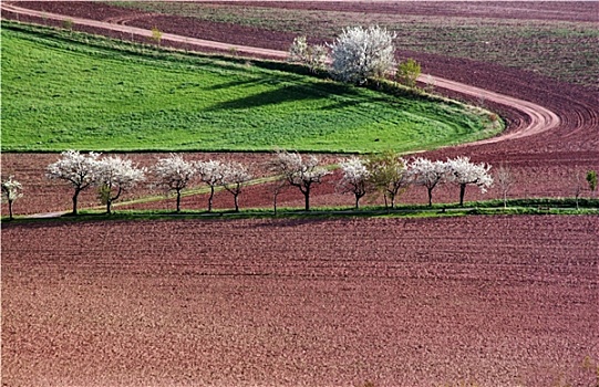 du doan so de