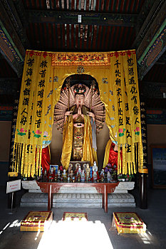 bạch thủ lô miễn phí