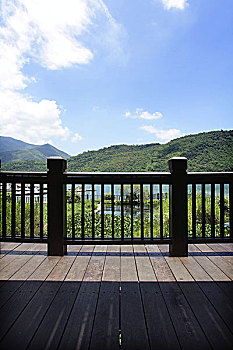 soi cau lo rong bach kim