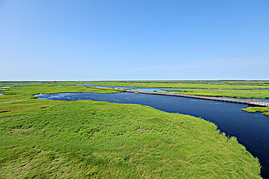 soi câu bach thu