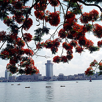 soi cau bach thu xs