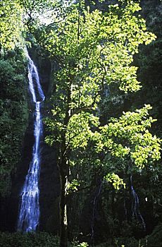 568 soi cầu