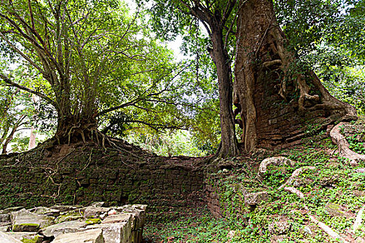 du doan xo so ninh thuan