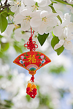 xổ số khánh hòa