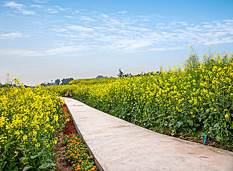 xổ số vĩnh long sông bé