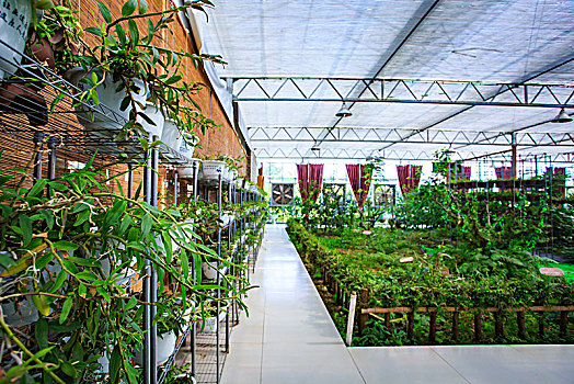 dự đóan xsmb