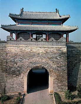 soi câu bạch kim
