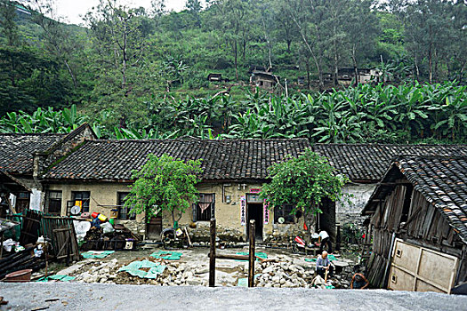 cau lo 888 mien phi