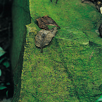 xổ số thứ bảy