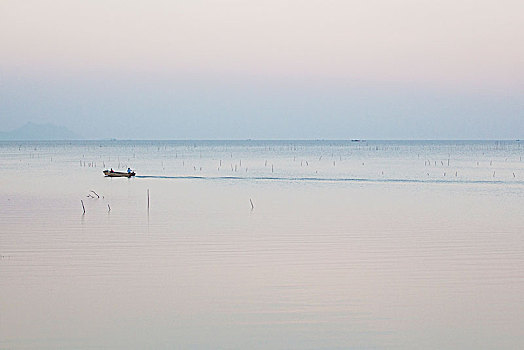 bach thu lo kep