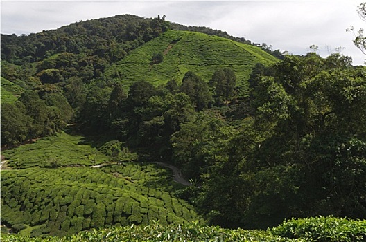 soi cầu xổ số kiên giang