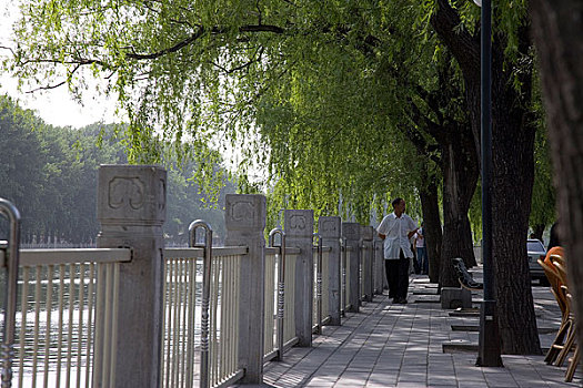 bach thu lo de mien bac hom nay