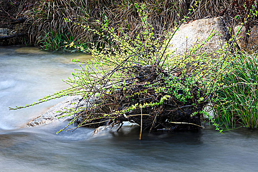 chốt số miễn phí