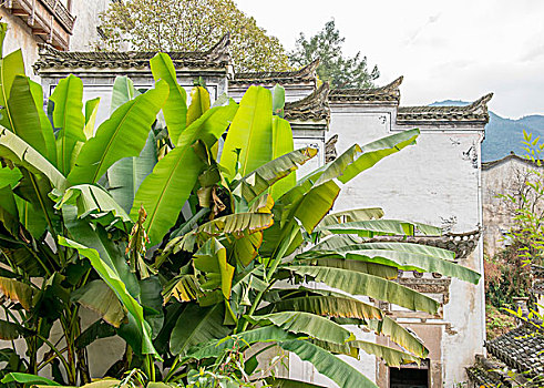 bạch thủ lô kép khung 3 ngày