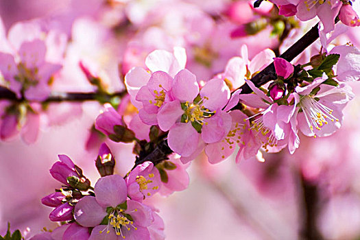 đánh lô trên mạng