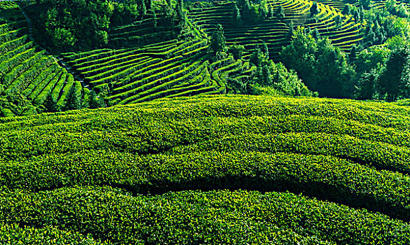 dự đoán xổ số miền bắc trung nam
