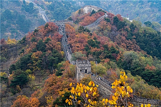 điện toán 123