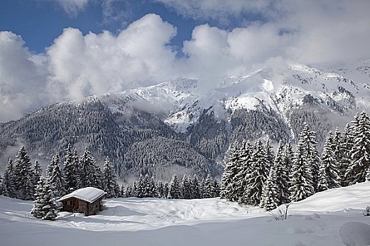 du doan bach thu