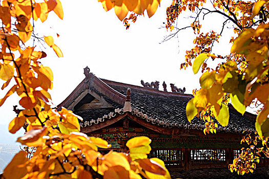dự đoán soi cầu