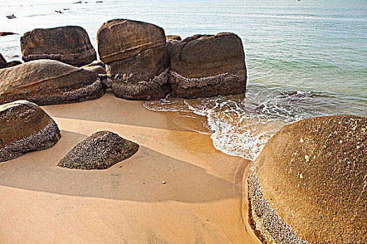 soi rong bach kim