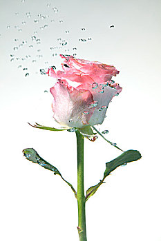 xổ số bến tre