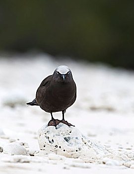 du doan xs than tai mn