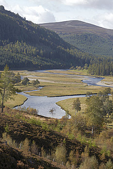 xskt cau bach thu