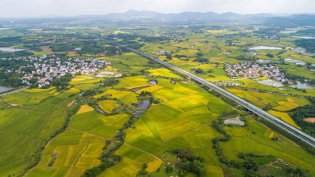 quay thử xổ số hôm nay
