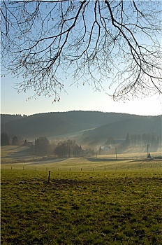 soicau88