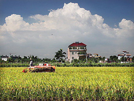 soi cầu số miền bắc
