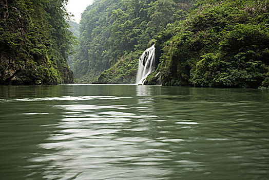 soi cau bach thu888