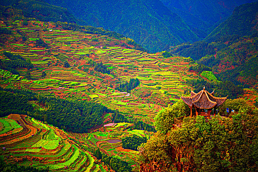 xổ số hà nội