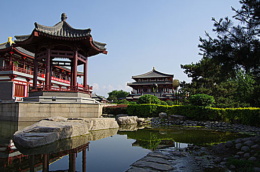 xem rong bach kim