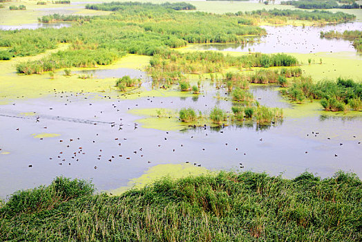 du doan xsmn trung thuong