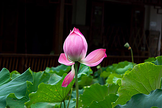 xổ số quảng trị hôm nay