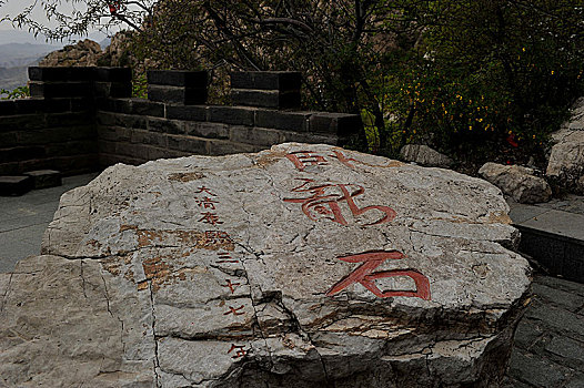 soi câu miễn phí