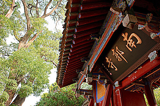 soi cầu xổ số tây ninh