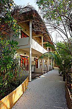 than tai du doan mien nam