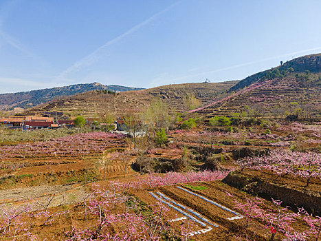 cách chơi lô dàn